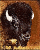 North American Bison Tapestry Afghan